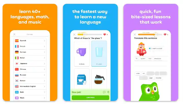 duo lingo